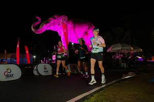 BIB: 
                            <button type="button" onclick="openModal(26544233)" class="btn btn-primary btn-sm float-right btn-popup" data-toggle="modal" data-target=".modal-high-quality">
                        <i class="fas fa-shopping-cart"></i> Add to Cart
                    </button>
                                            <button type="button" onclick="isThisMe(26544233, true)" class="btn btn-success btn-sm float-right btn-popup btn-isme hidden" data-toggle="tooltip" data-placement="bottom" title="นี่คือรูปของคุณใช่ไหม คลิกที่นี่เพื่อเอาเข้าอัลบั้ม">
                        <i class="fas fa-plus"></i> Add to album
                    </button>
                    <button type="button" onclick="isThisMe(26544233, false)" class="btn btn-warning btn-sm float-right btn-popup btn-isnotme hidden">
                        <i class="fas fa-ban"></i> Remove from album
                    </button>